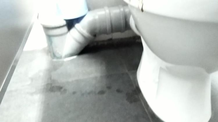 Diarhea and pee in WC - nastygirl [2021 | FullHD] - Scatshop