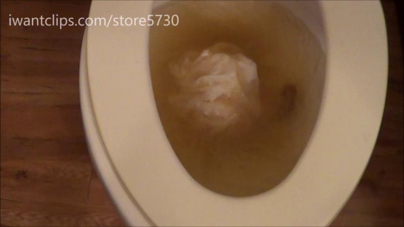 Ashley Dobbs Damn I Clogged The Toilet Keepingitfunky [2025 | FullHD]