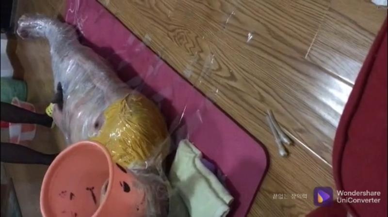 Live Asian Toilet Slave Wrapped In Tape P1 [2025 | SD]