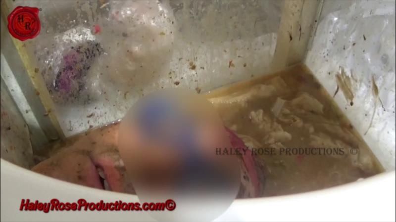 12 Hours Locked in Toilet Box Part 2 - Haley Rose Productions [2025 | FullHD]