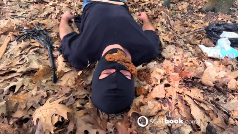 Shit In The Forest - Fan Version - NEMEZIS QUEEN [2025 | FullHD]