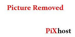 PLBZ – The ass of the human toilet must be punished in order to work properly [2025 | HD]