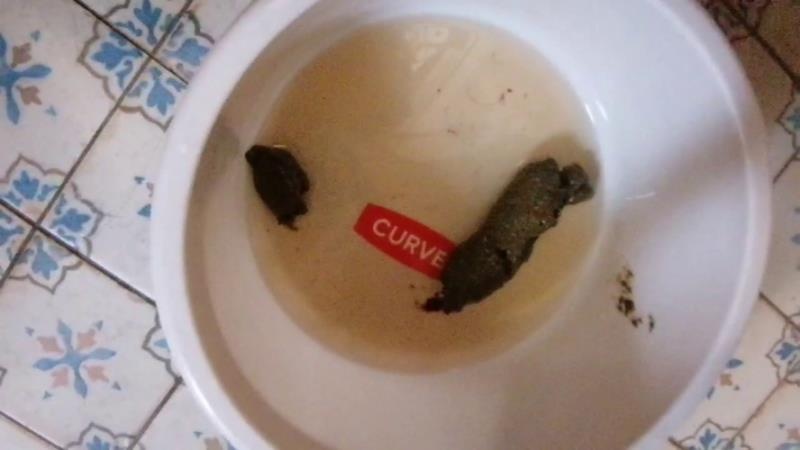 Bitchs Meal Shit P1 [2025 | HD]