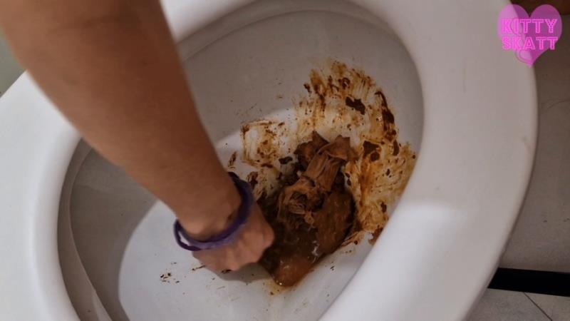 Toilet Aclogcalypse Disasters - Kitty Skatt [2025 | FullHD]