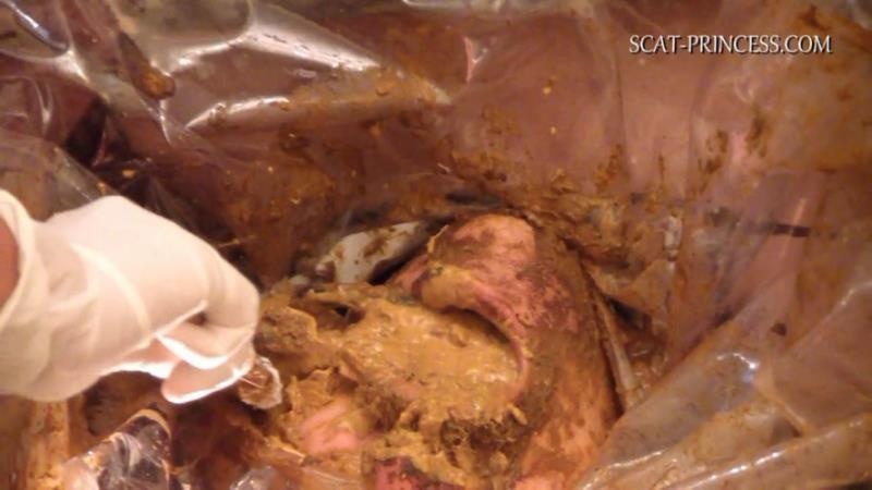 Scatmania Underground Toilet Slave Part 5 Sc M St [2025 | HD]