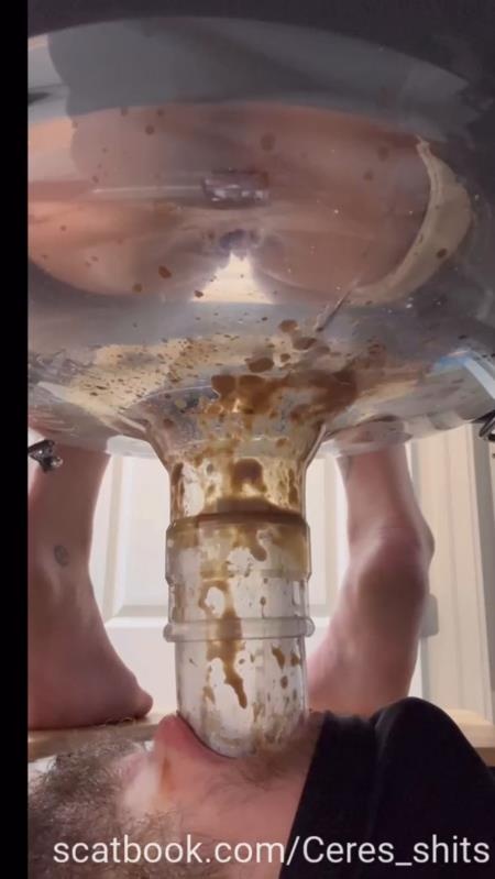 A Day of Shitting Down My Toilet's Throat P1 [2025 | SD]