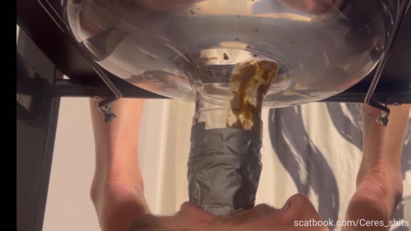 Quick Liquid Diarrhea for My Septic Tank with Goddess Ceres P1 [2025 | FullHD]