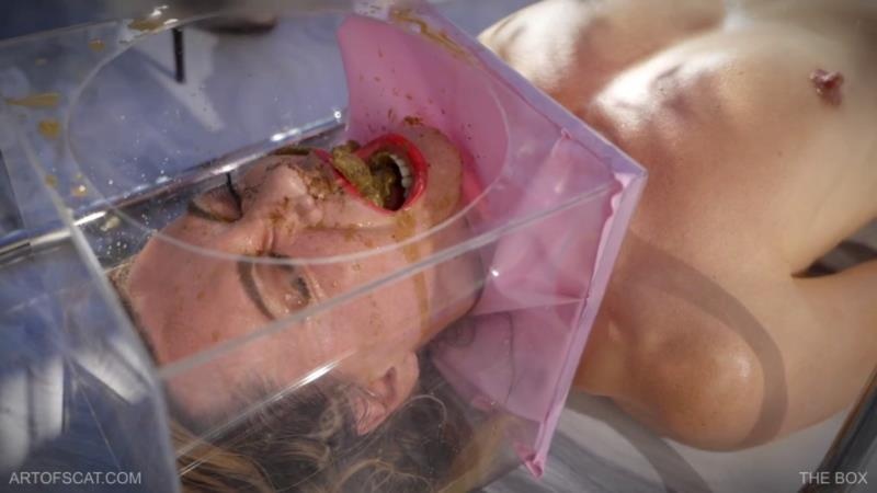 THE BOX - QS, NAZRYANA [2025 | FullHD]