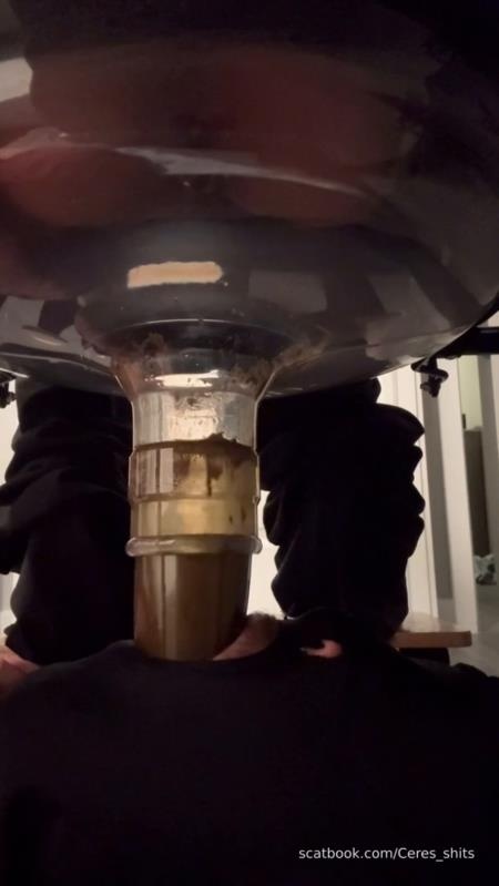 Goddess Ceres-2025-10-19 - Toilet Swallows All My Waste For The Day [2025 | SD]