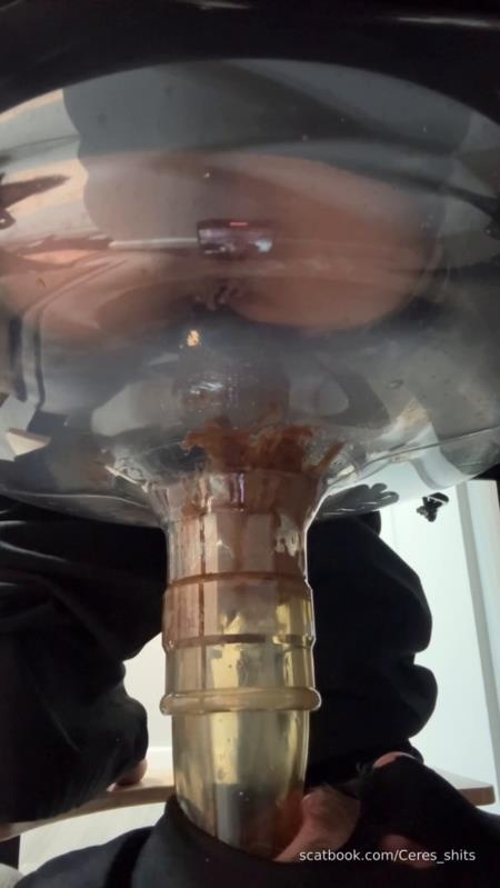 2025-11-13 - A Quick Shit Down My Septic Tanks Throat - Goddess Ceres [2025 | SD]