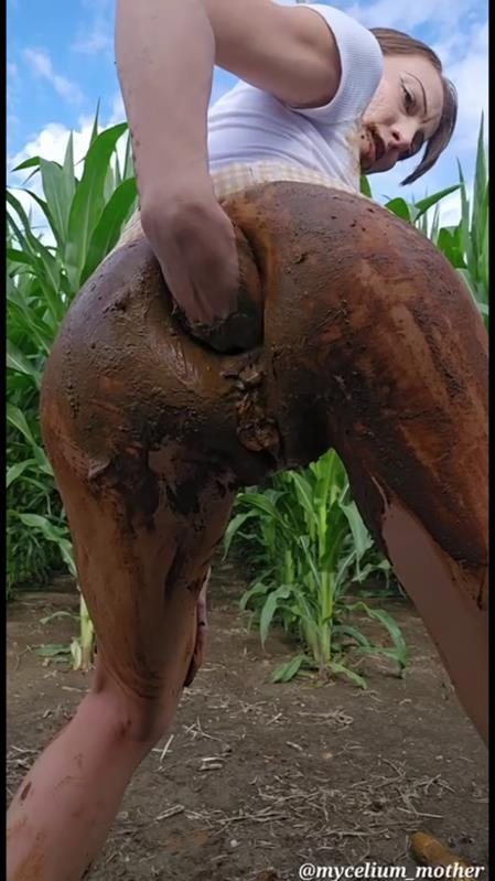 The A-maize-ing Mycelium mother - Mycelium Mother [2025 | SD]