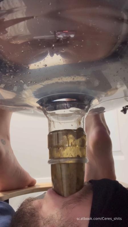 Human Toilet's First Malfunction Infinite Shit Down Your Throat » Mixfemdomcc - Latest Femdom Porn for Online Streaming - Goddess Ceres [2025 | SD]