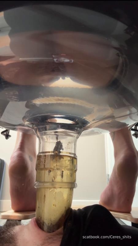 Five Levels of Shit » Mixfemdomcc - Latest Femdom Porn for Online Streaming - Goddess Ceres [2025 | SD]