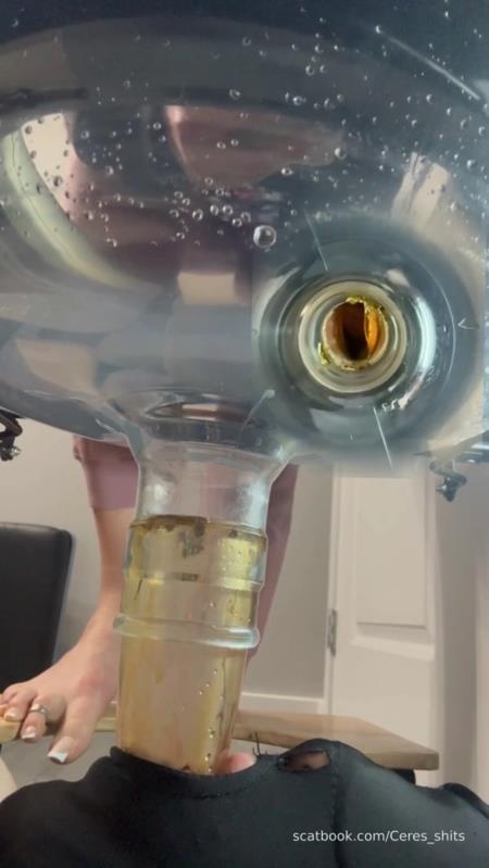 Septic Tank Almost Fails P1 [2026 | SD]