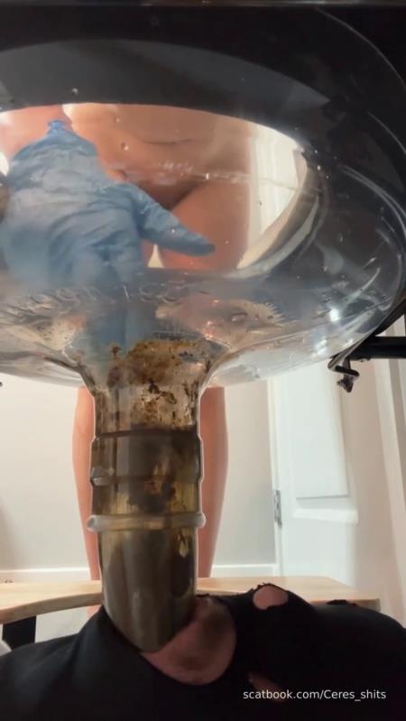 24 Minutes of Daily Toilet Slave Destruction P1 [2026 | SD]