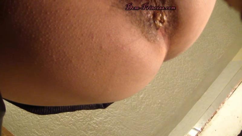 Scatmania Princesses Household Toilet Slave Part 5 Diana Hd [2026 | HD]