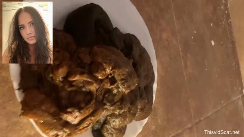 A huge pile of shit goes into the toilet. P1 [2026 | HD]