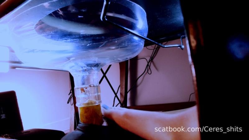 A Private Session with My Toilet [2026 | FullHD]