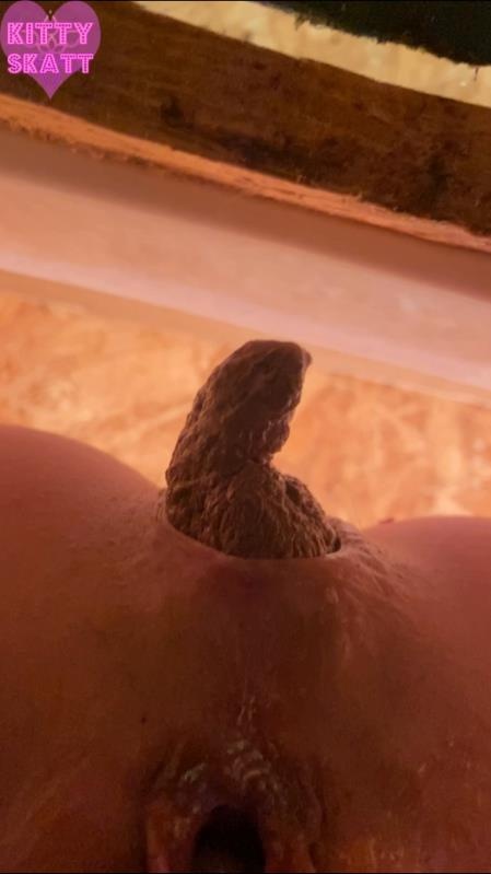 POV hookup in festival toilet - Kitty Skatt [2026 | SD]