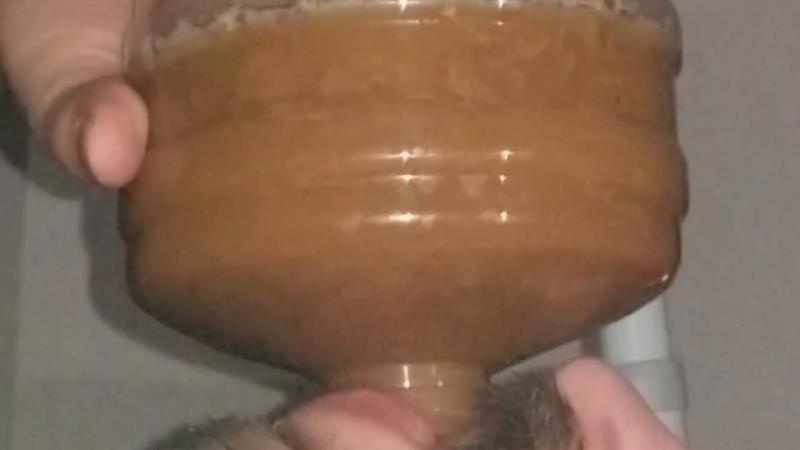 Chugging LITERS of my poop-flavored pee - SSBBW Queen Siya [2026 | HD]