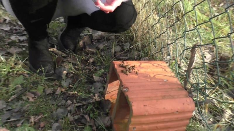 Compilation Dump Set 177 Videos P16 - HotDirtyIvone [2026 | FullHD]