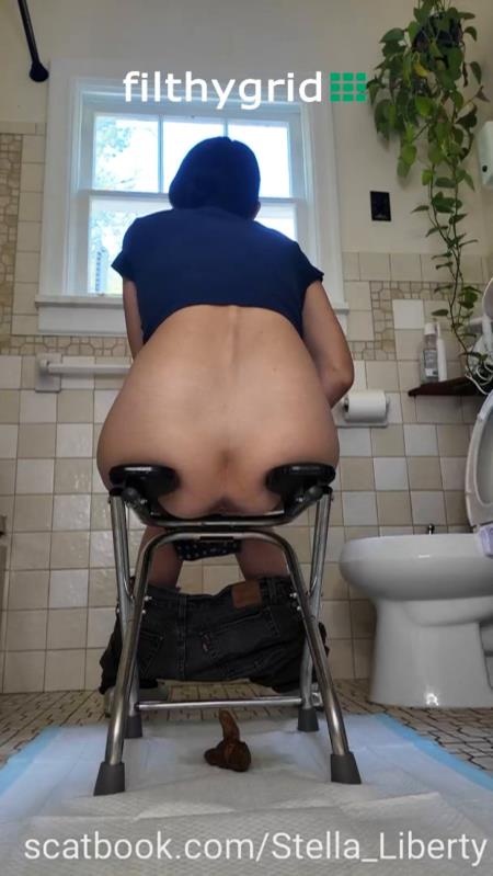 Number Two with the Toilet Chair [2026 | SD]